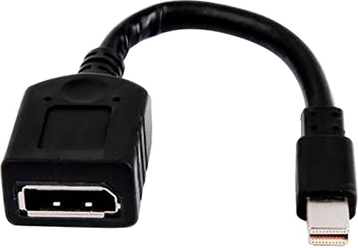 HP Mini DisplayPort naar DisplayPort Adapter - 2MY05AA